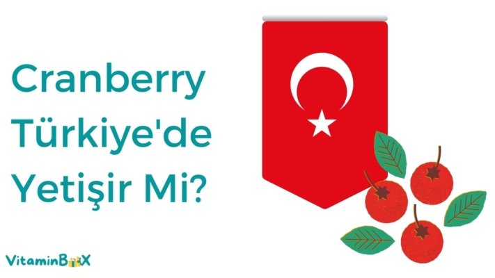 Cranberry Türkiye'de Yetişir Mi